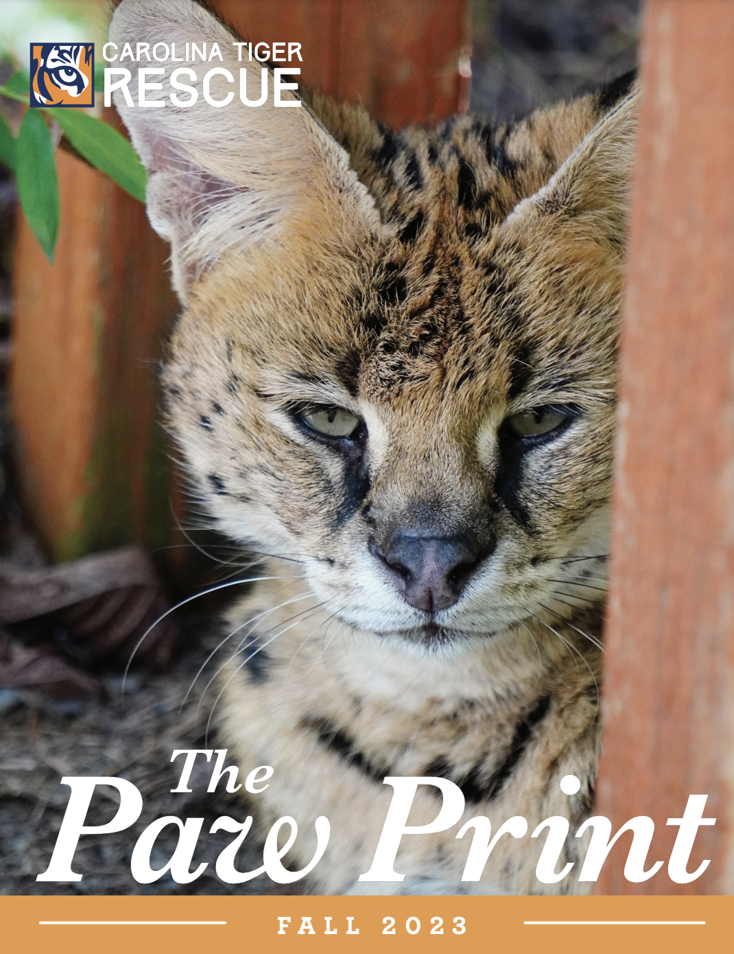Fall 2016 Paw Print